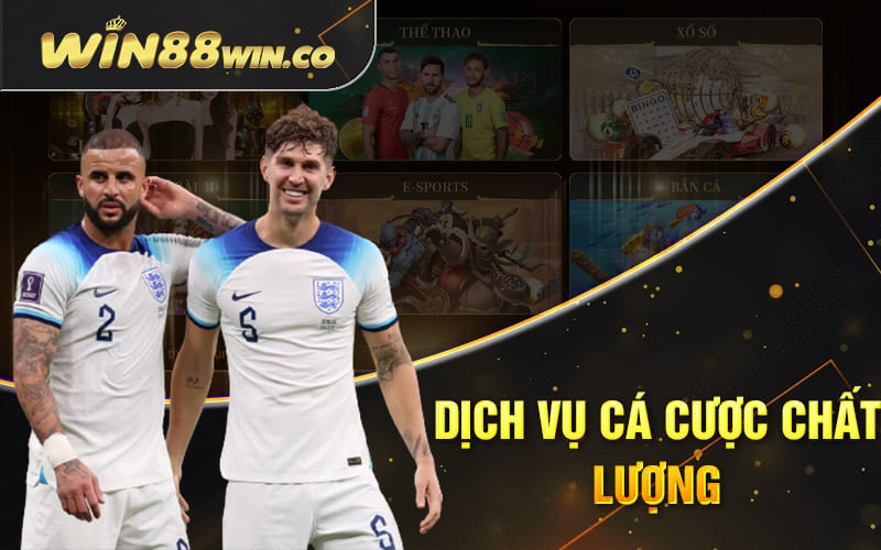 Dịch vụ cá cược chất lượng