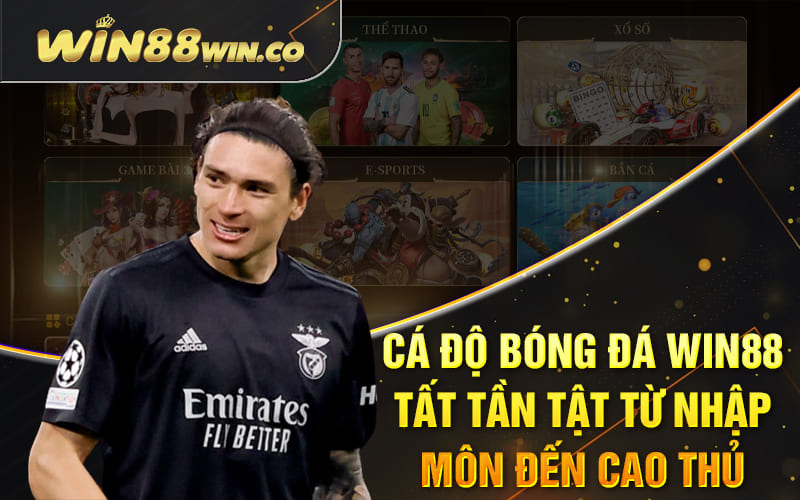 Cá Độ Bóng Đá Win88 - Tất Tần Tật Từ Nhập Môn Đến Cao Thủ 5 Cá Độ Bóng Đá Win88 - Tất Tần Tật Từ Nhập Môn Đến Cao Thủ