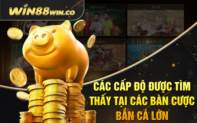 Các cấp độ được tìm thấy tại các bàn cược bắn cá lớn